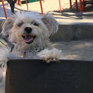 Meet your Posher, Karina